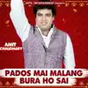 Amit Chaudhary - Pados Mai Malang Bura Ho Sai - EP